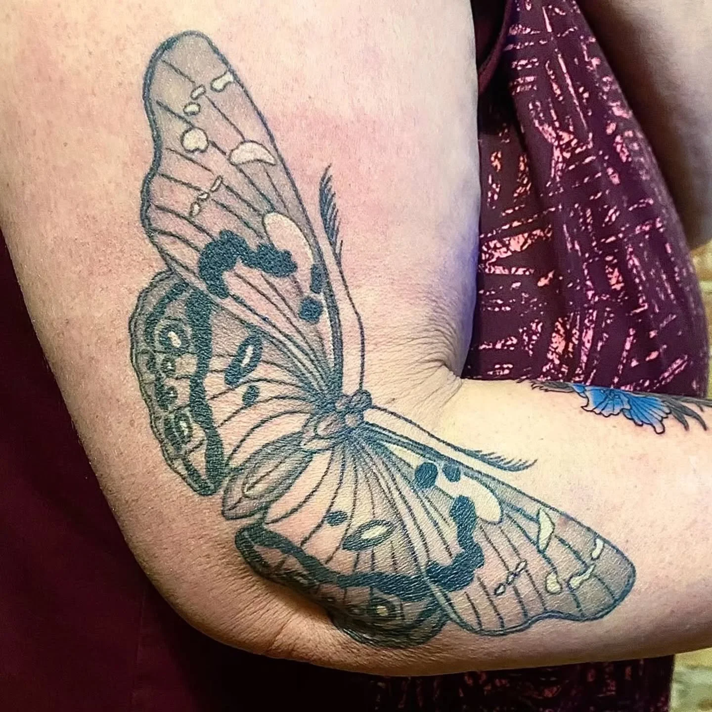 &bull; @keithmullintattoos &bull; Snagged a healed shot of this black and grey neo traditional moth done 3 years ago!!
.
.
.
Raven's Head Tattoo 
242 Dundas Street 
London Ontario 
519-601-2400