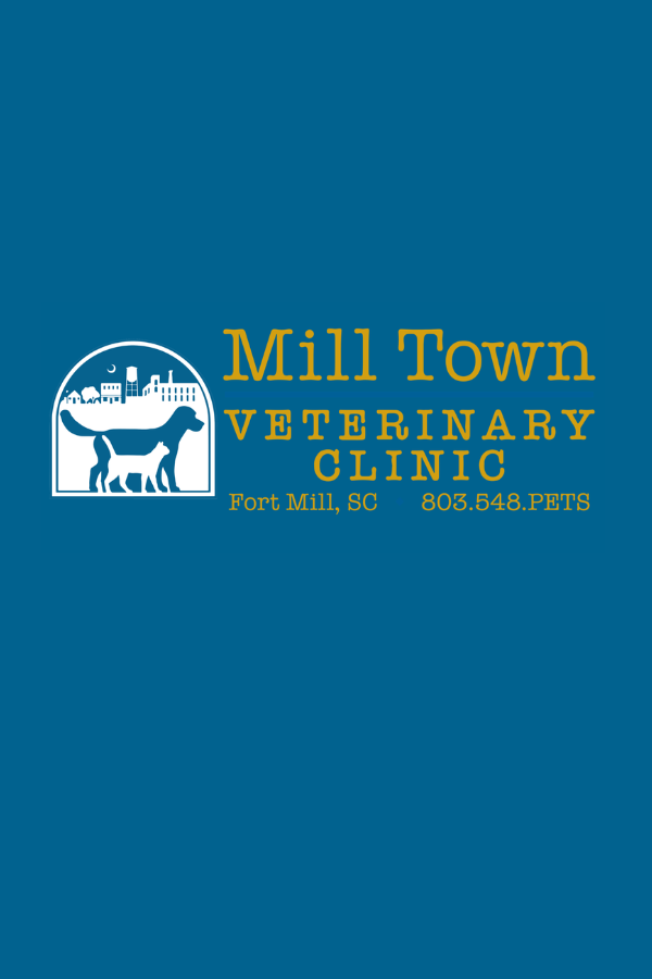 Staff — Mill Town Veterinary Clinic