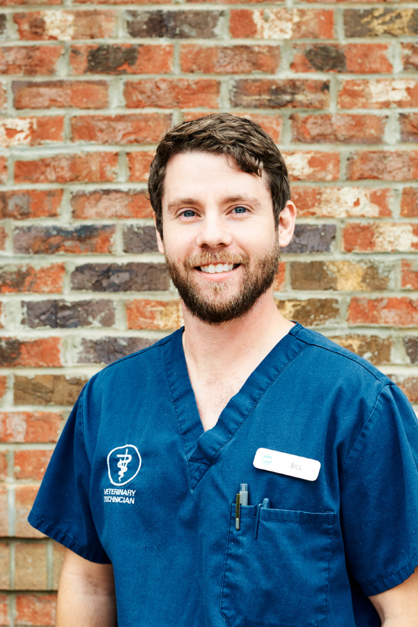 Staff — Mill Town Veterinary Clinic