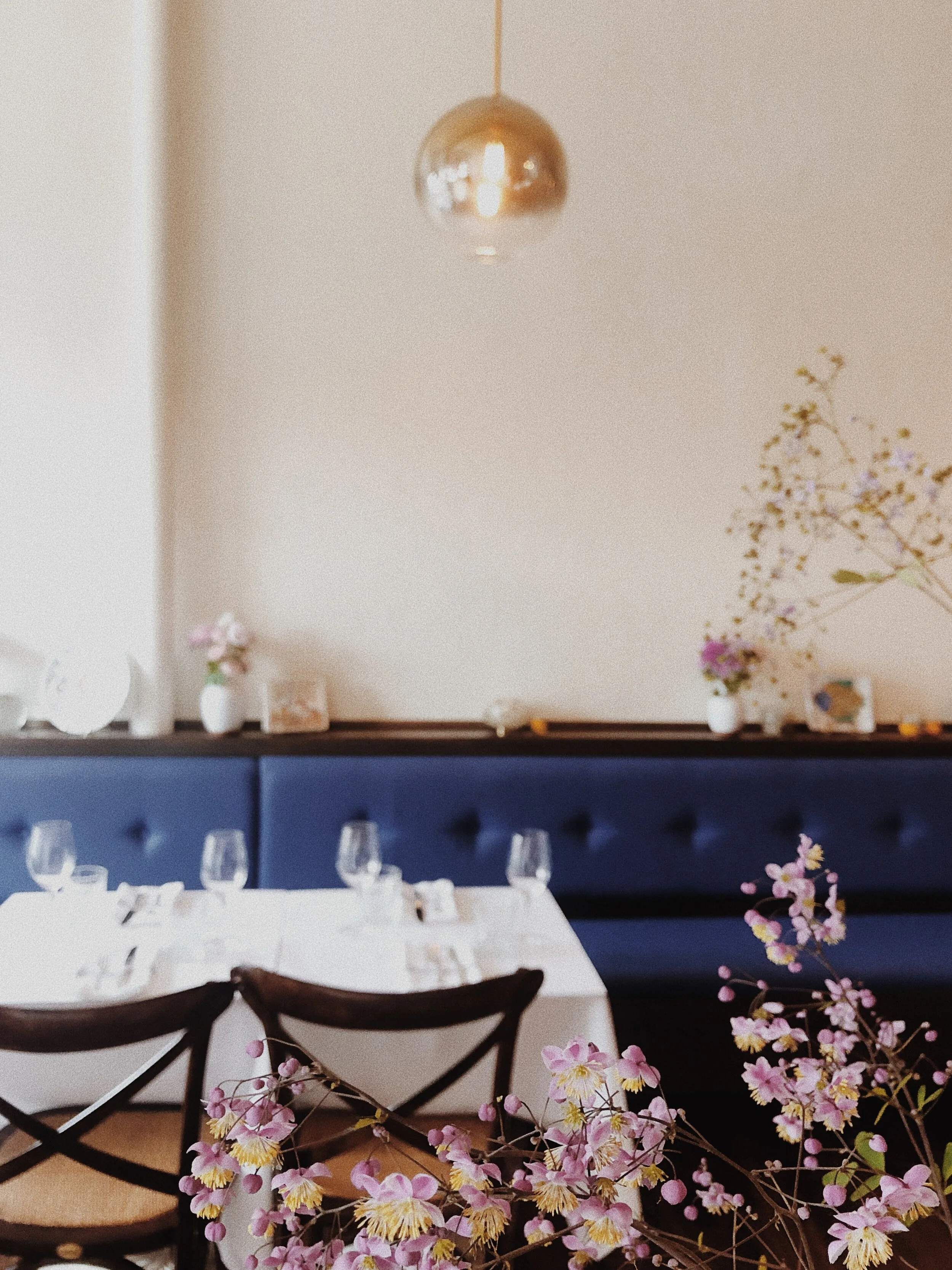 Contact — Hyacinth