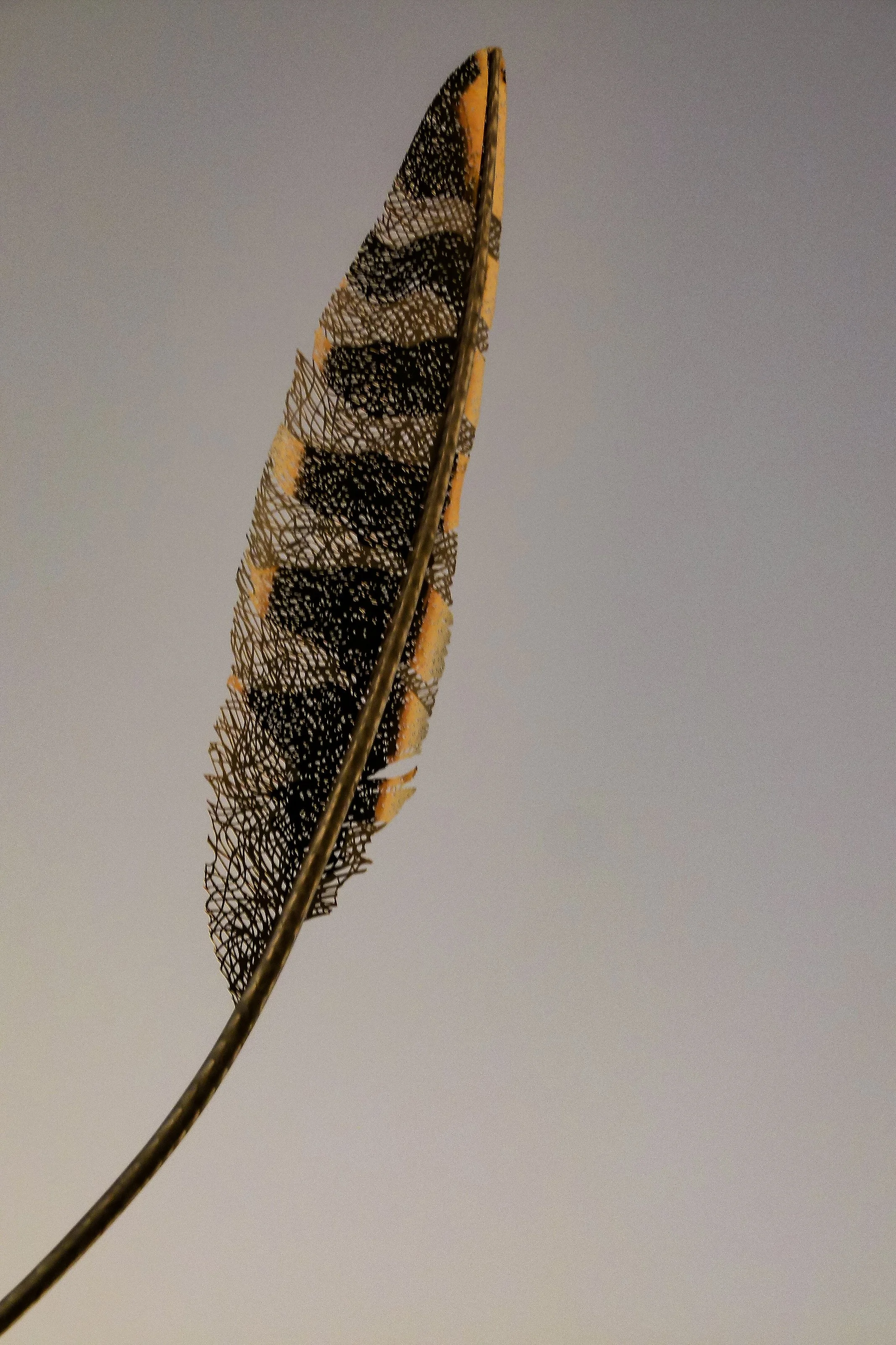 And Then bio-detail.jpg