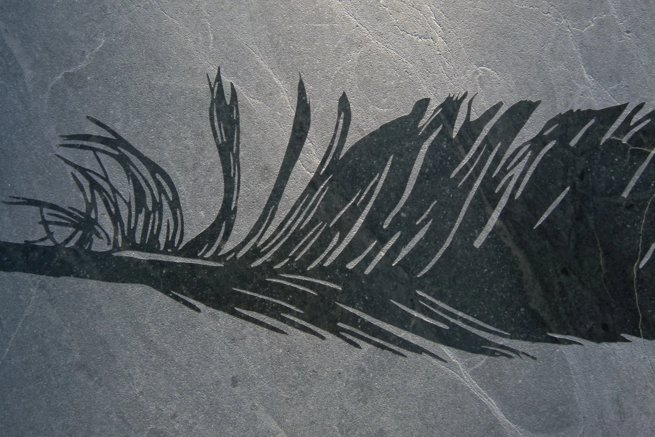 L1090807.JPG