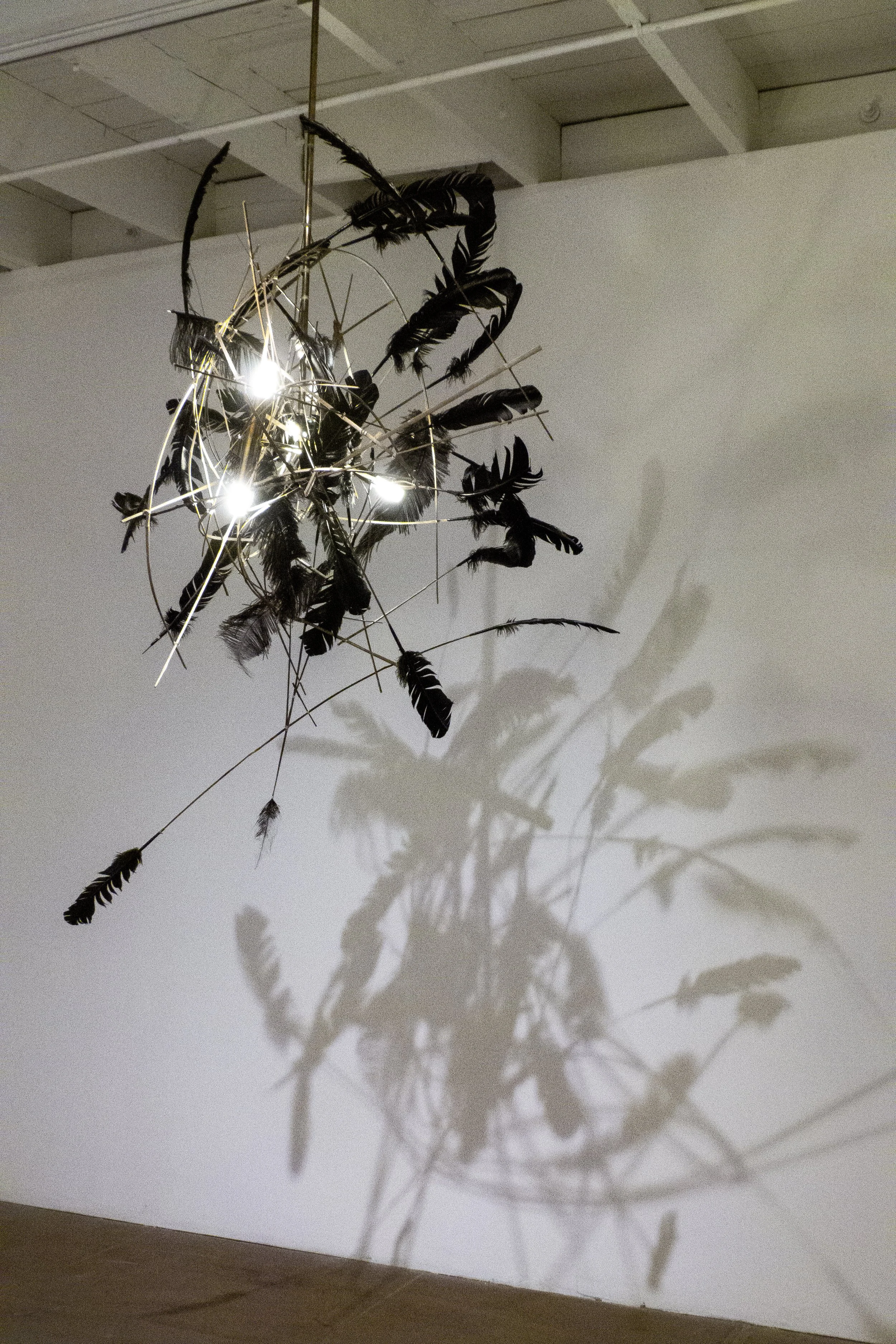 Ghost (shadow).jpg