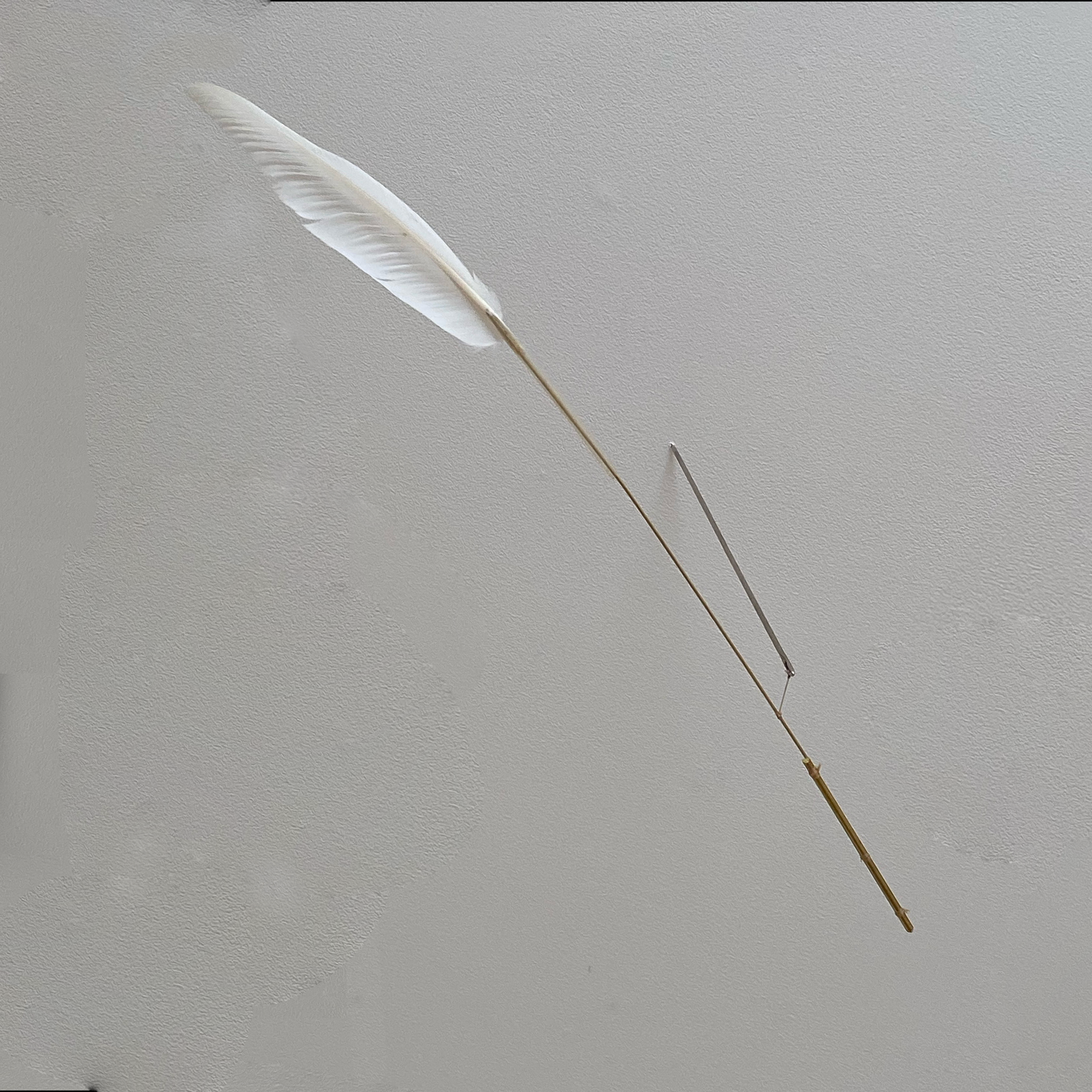 00_website_white quill.png