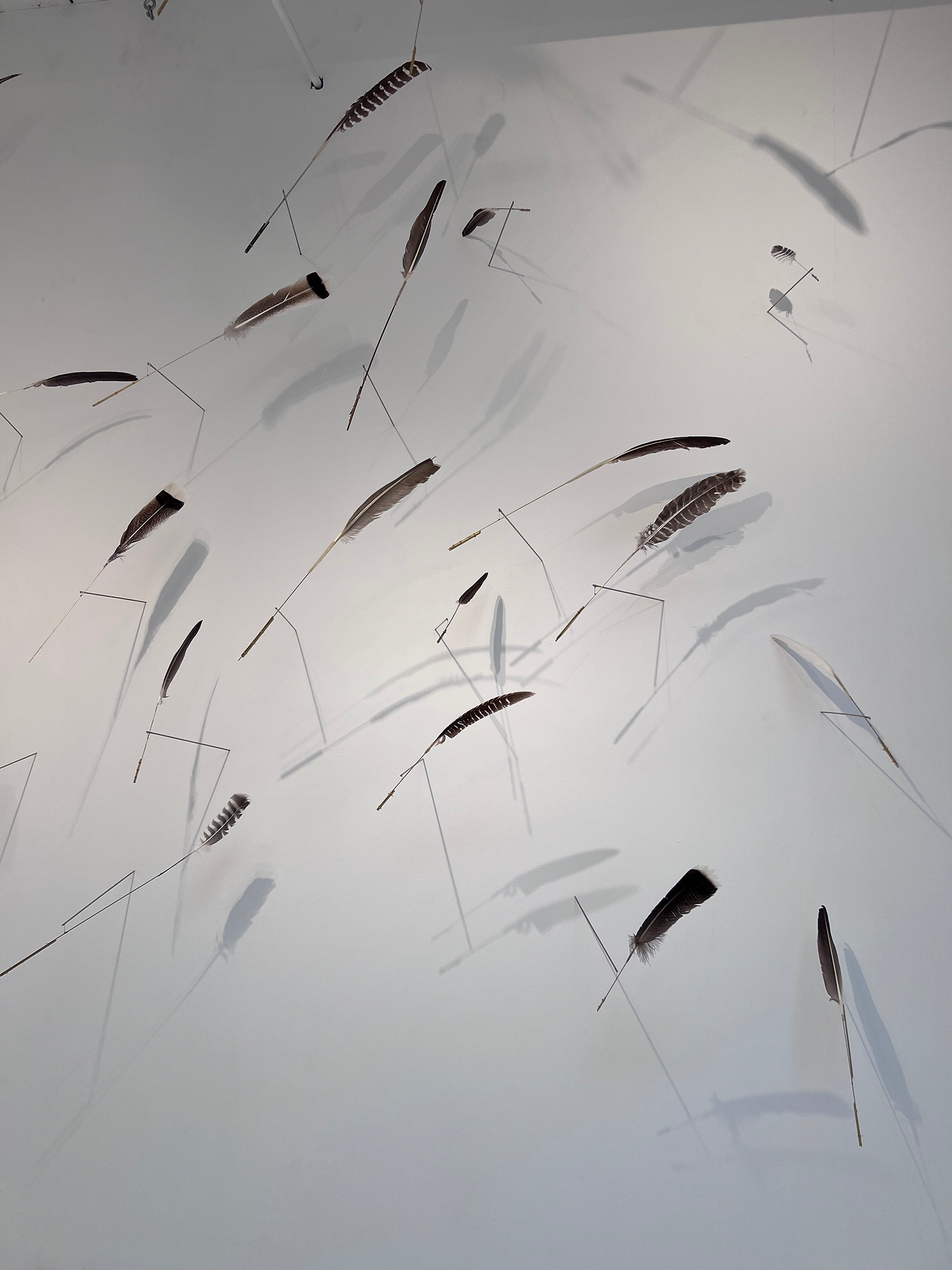 Constellation (site specific intallation)
