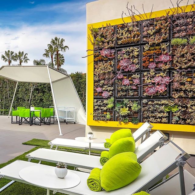 I'd like to live on this wall... #livingwall #exteriordesign #lounge #michelebohbotdna #labasedinteriordesigner #interiordesign #michelebohotdesignandarchitecture #design #interiordesigner #homedecor #designerfurniture #furnituredesign #customfurnitu