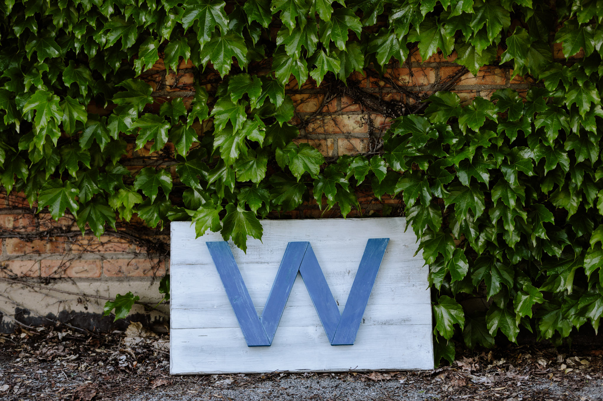 Cubs W Sign.jpg