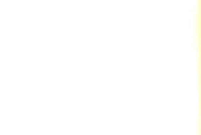 white.jpeg