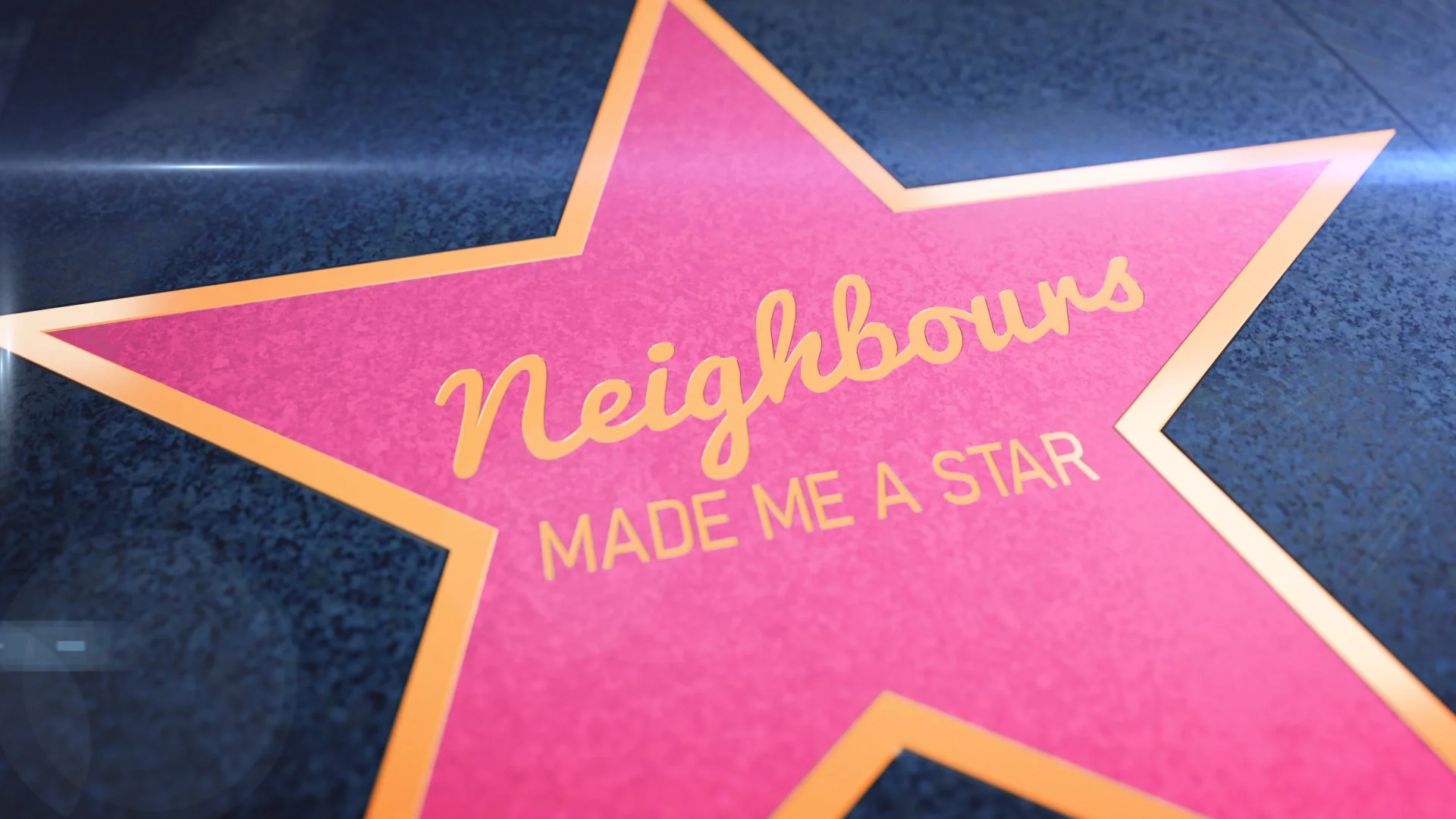 Neighbours Made Me A Star