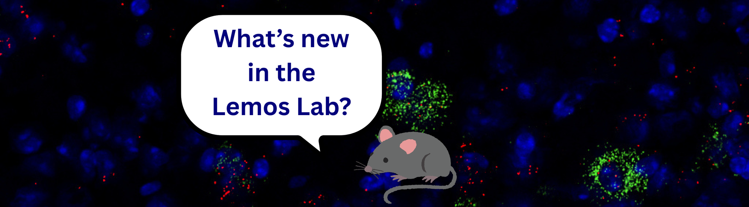 What’s new in the Lemos Lab (1).png