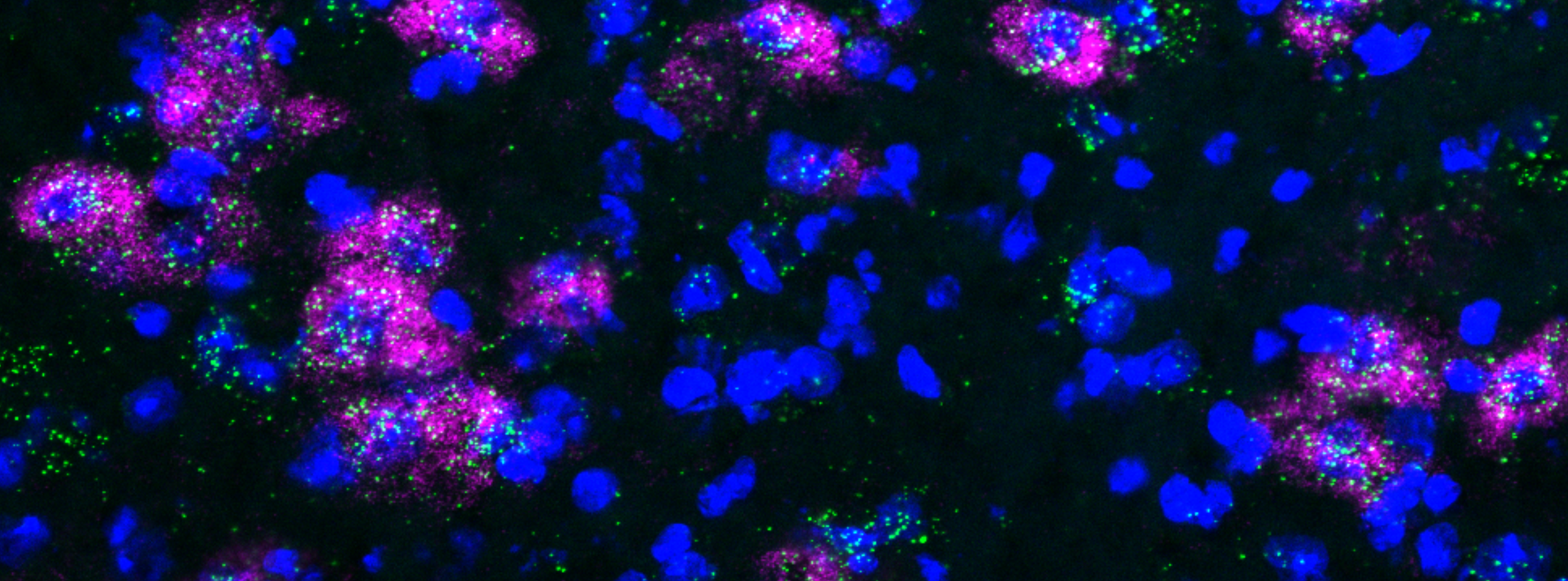 Untitled design (5).png