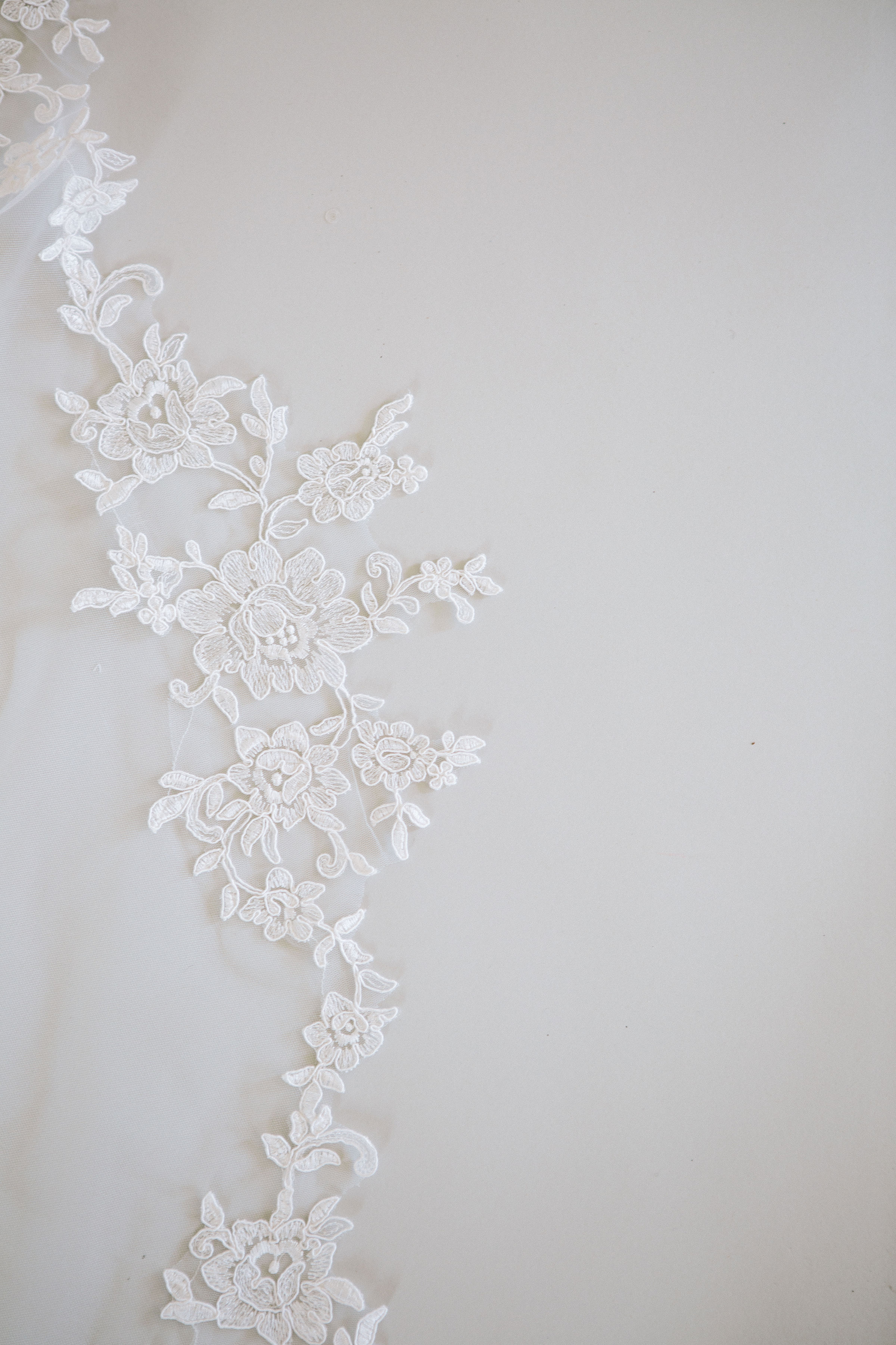 Ambrosia Lace Detail.jpg