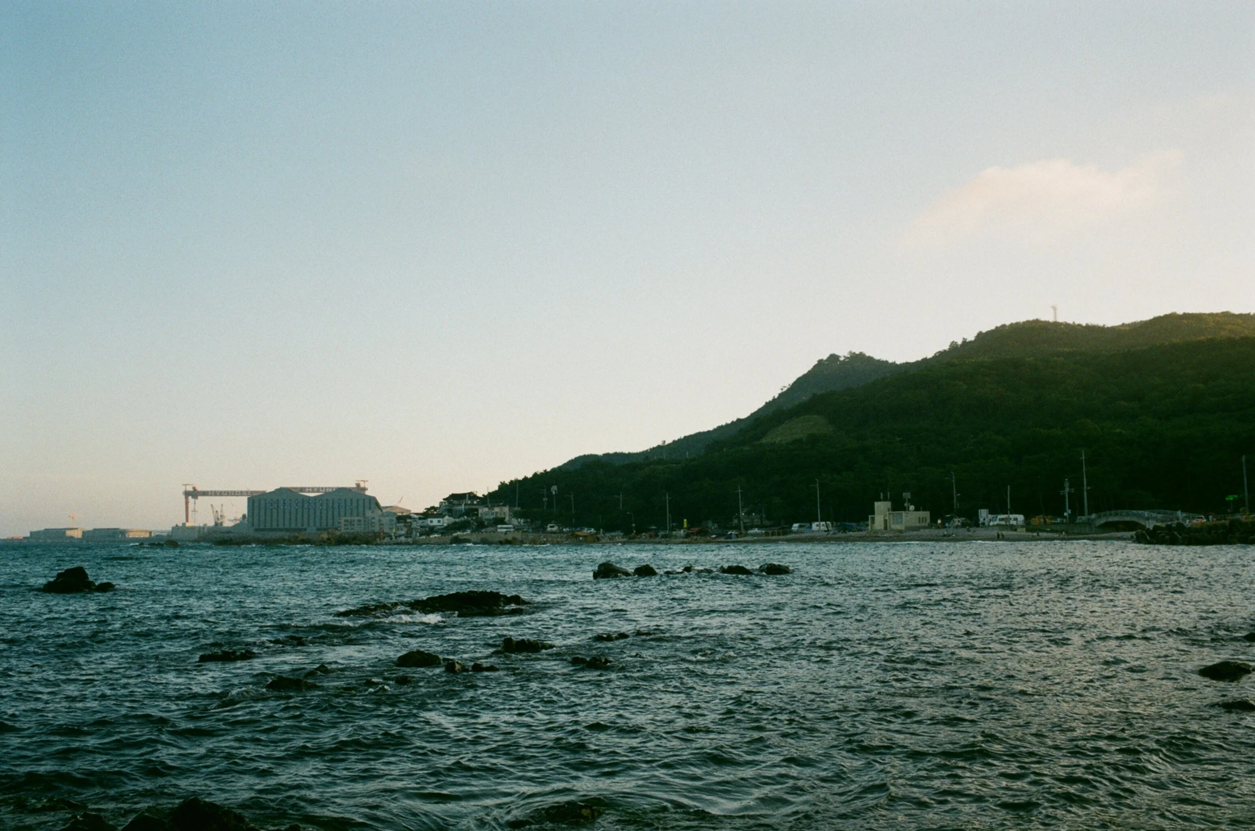 06910019.JPG