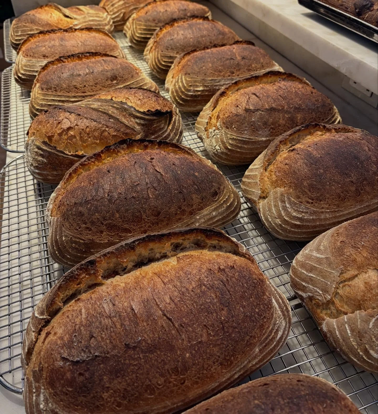 Beautiful wood fired sourdough available for your thanksgiving stuffing. Limited quantities available today and tomorrow. Closed on Thursday so our incredible team can be with their loved ones. Then back open with our usual hours for Black Friday. Hi