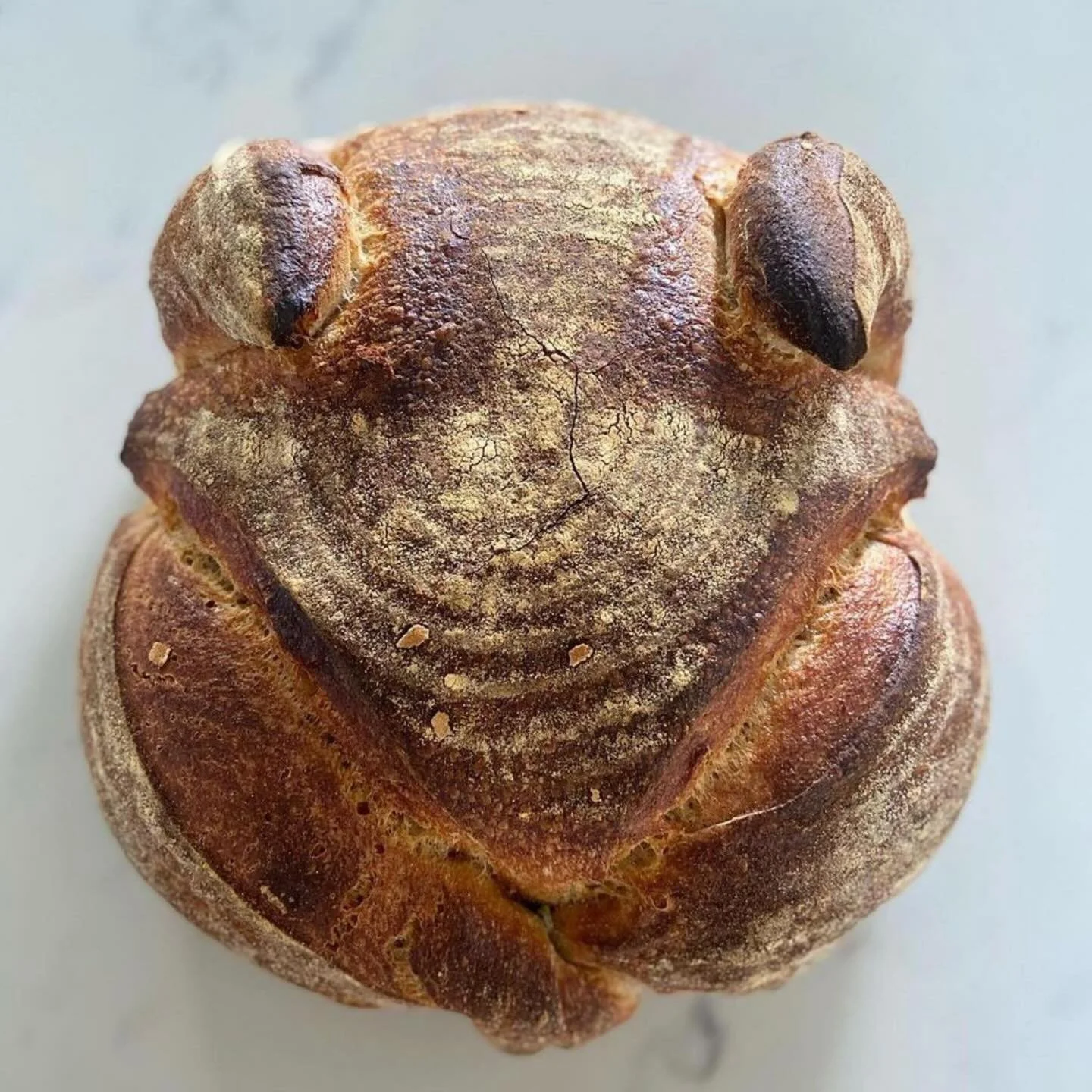 Both restaurants are closed today so that our incredible and hardworking team can relax with their loved ones. So grateful to everyone who makes Bettina thrive, from our thoughtful and creative kitchen team, to our generous and loving front of house 