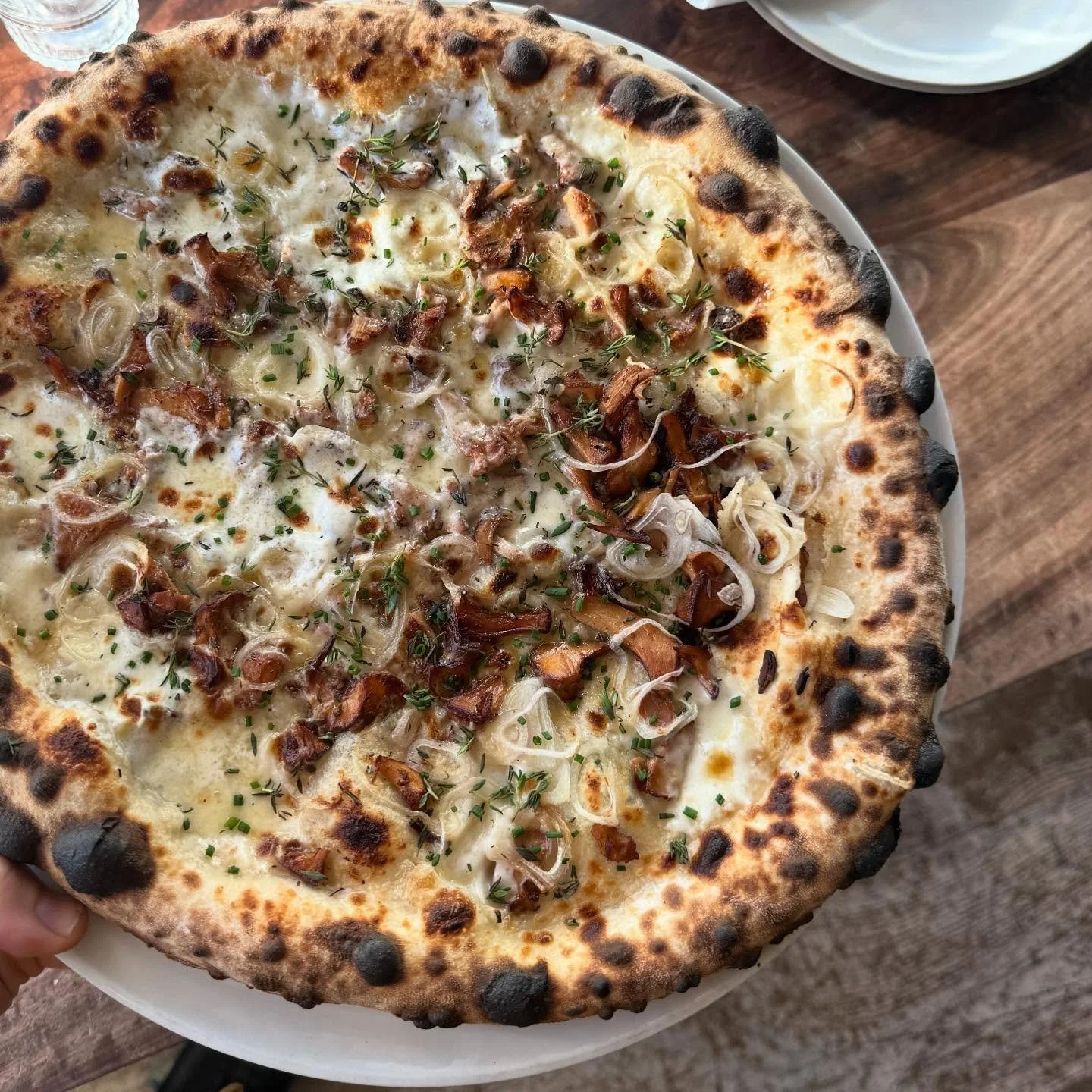 Last day for pizza before we role into the holidays as we are closed Christmas Eve and day at both locations. Open for lunch and dinner today and then back at it with normal hours on Friday. Thank you for bringing your families all week! So grateful 