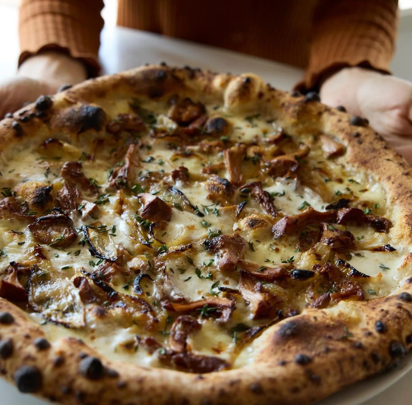 Happy pi day!!! Last chance for this chanterelle pizza by @oscar_desantiago_ which has had a wonderful run thanks to a lot of rain. Should have it for another week or so and then stay tuned for everyone&rsquo;s favorite pea pizza!! 

See you at 11am 