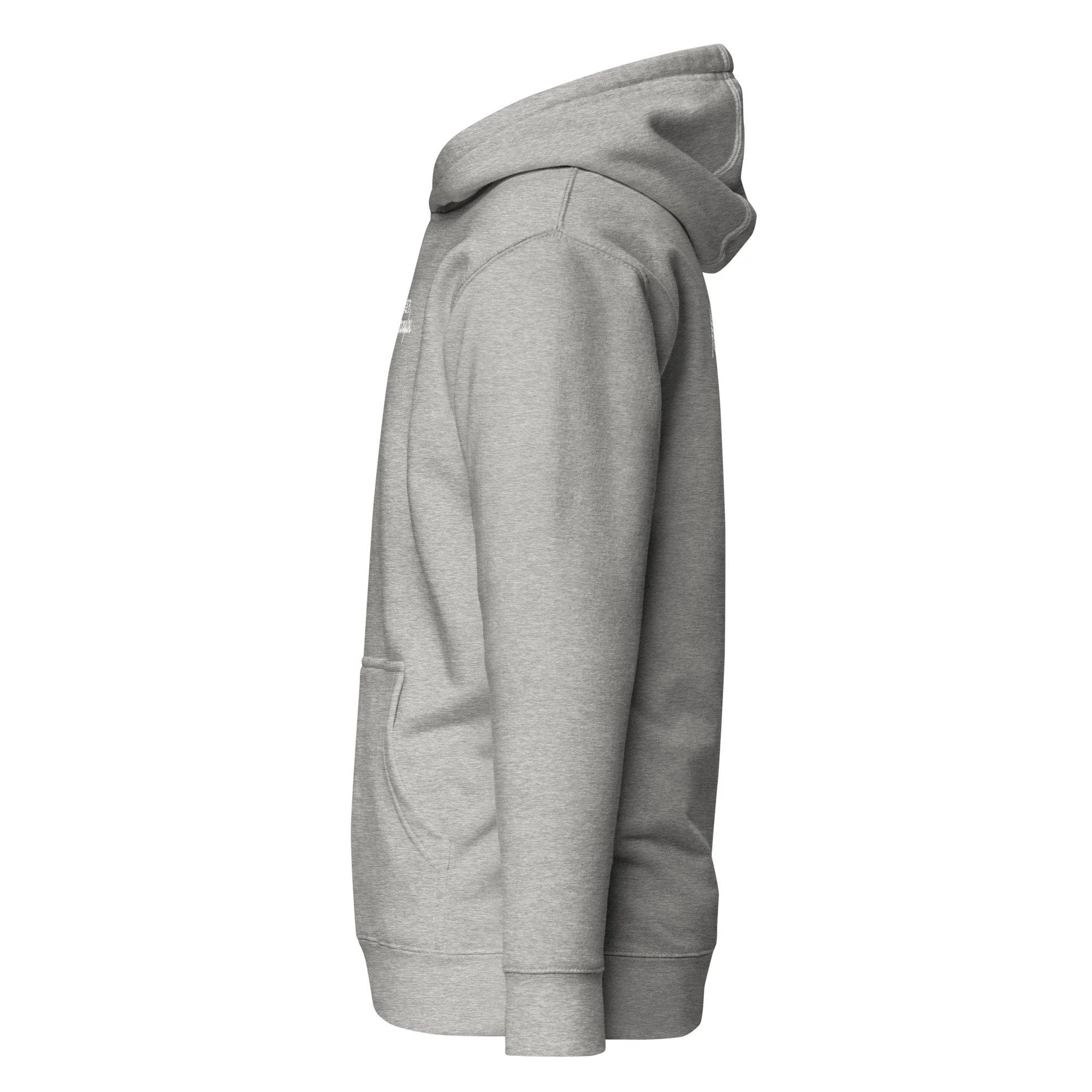 unisex-premium-hoodie-carbon-grey-left-686aaff59e665.jpg