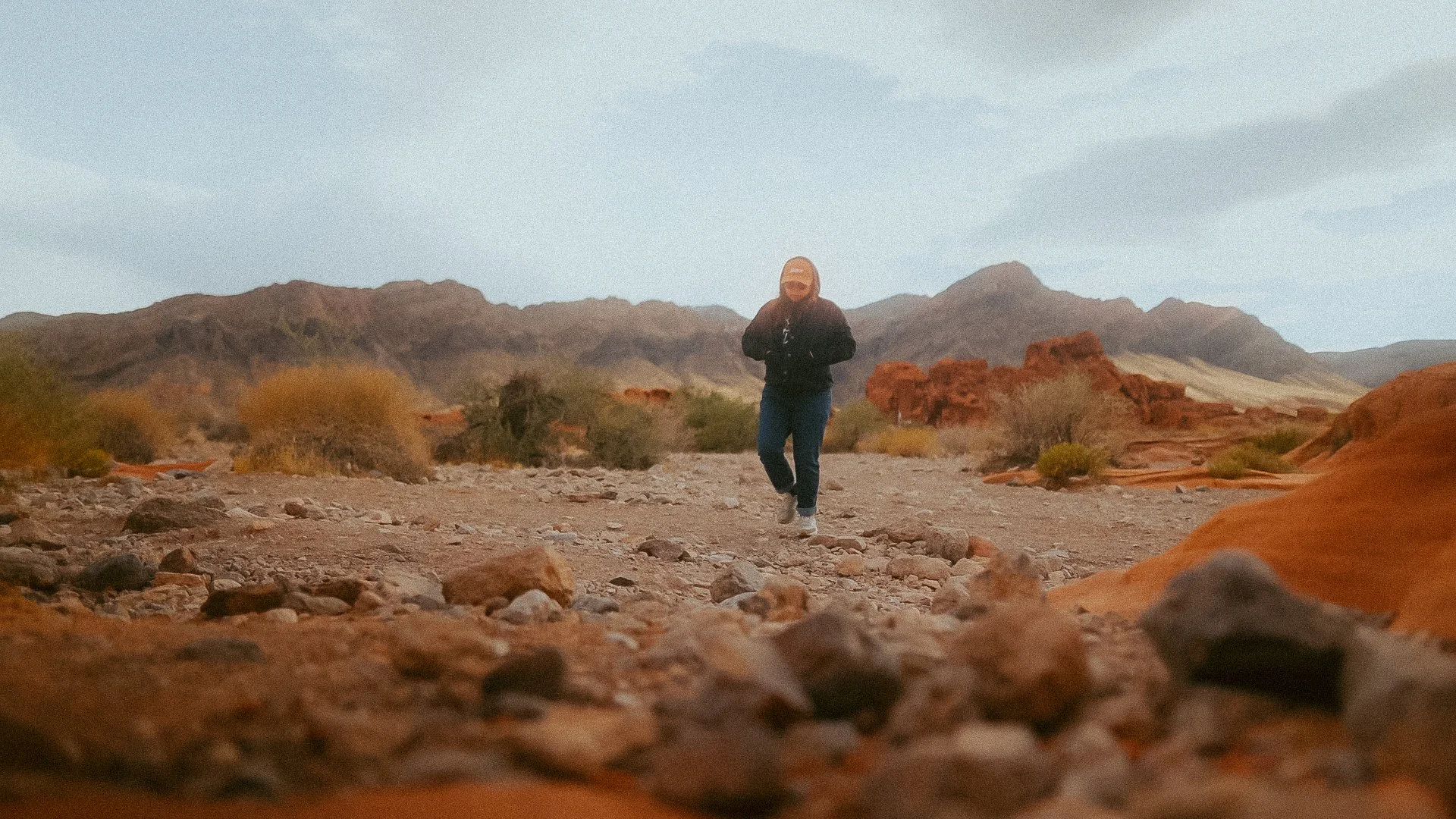 Screenshot 2024-10-25 at 8.19.05 AM.jpg