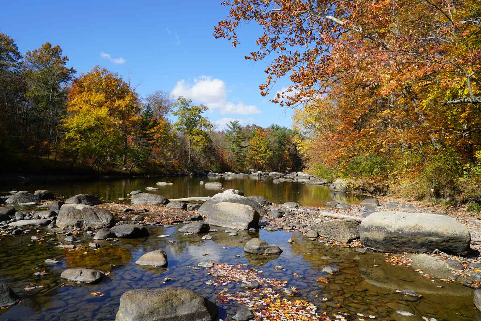 river-low.jpg