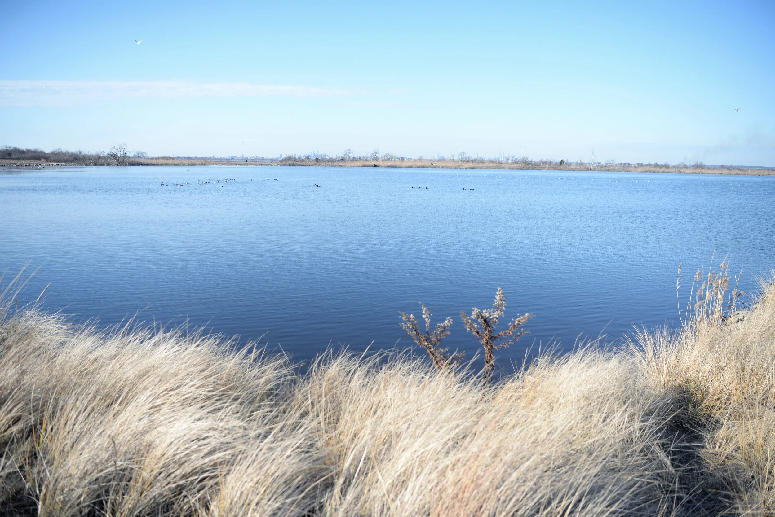 DSC_4082f.jpg