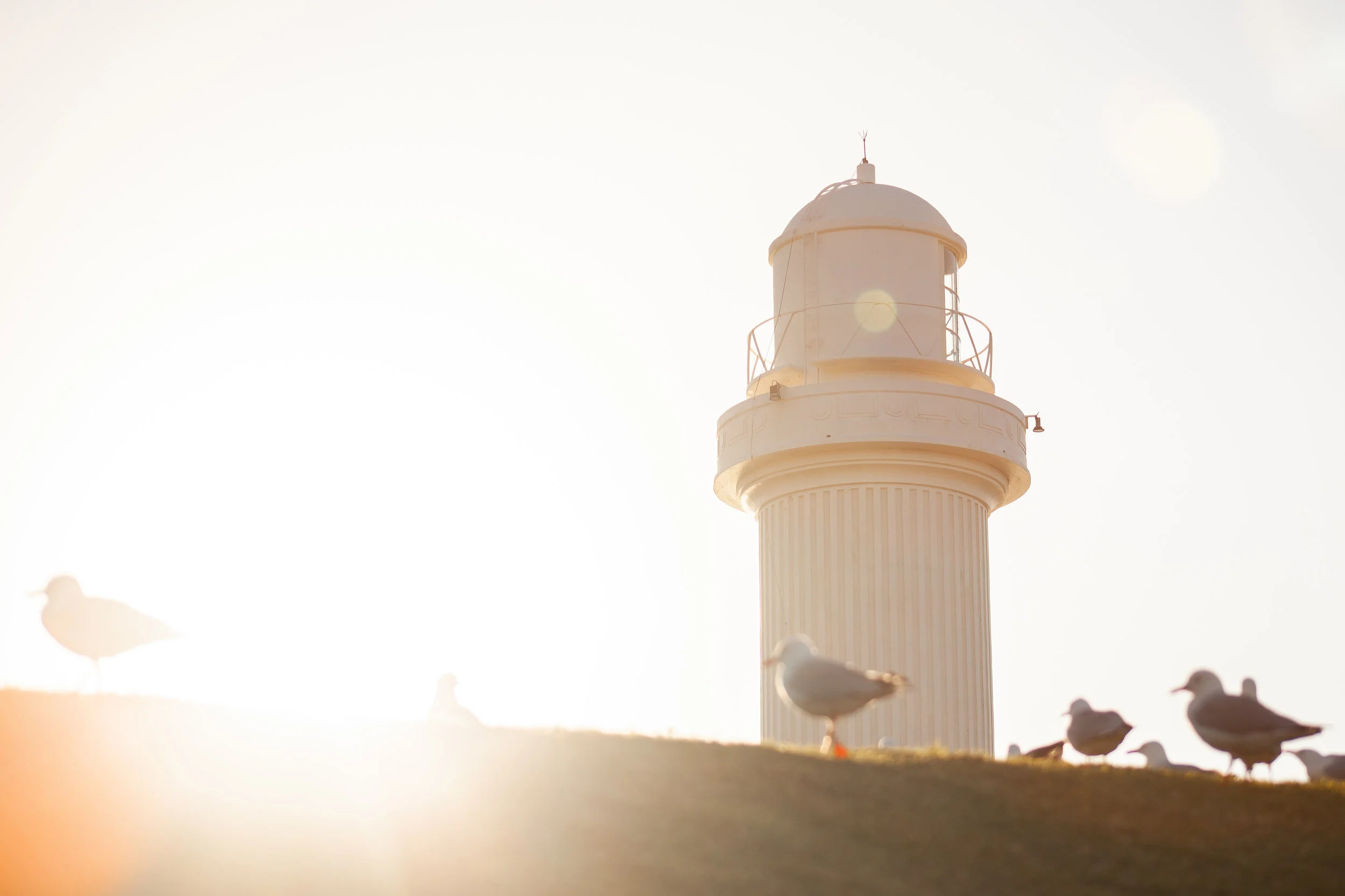 Weekend Guide to Wollongong