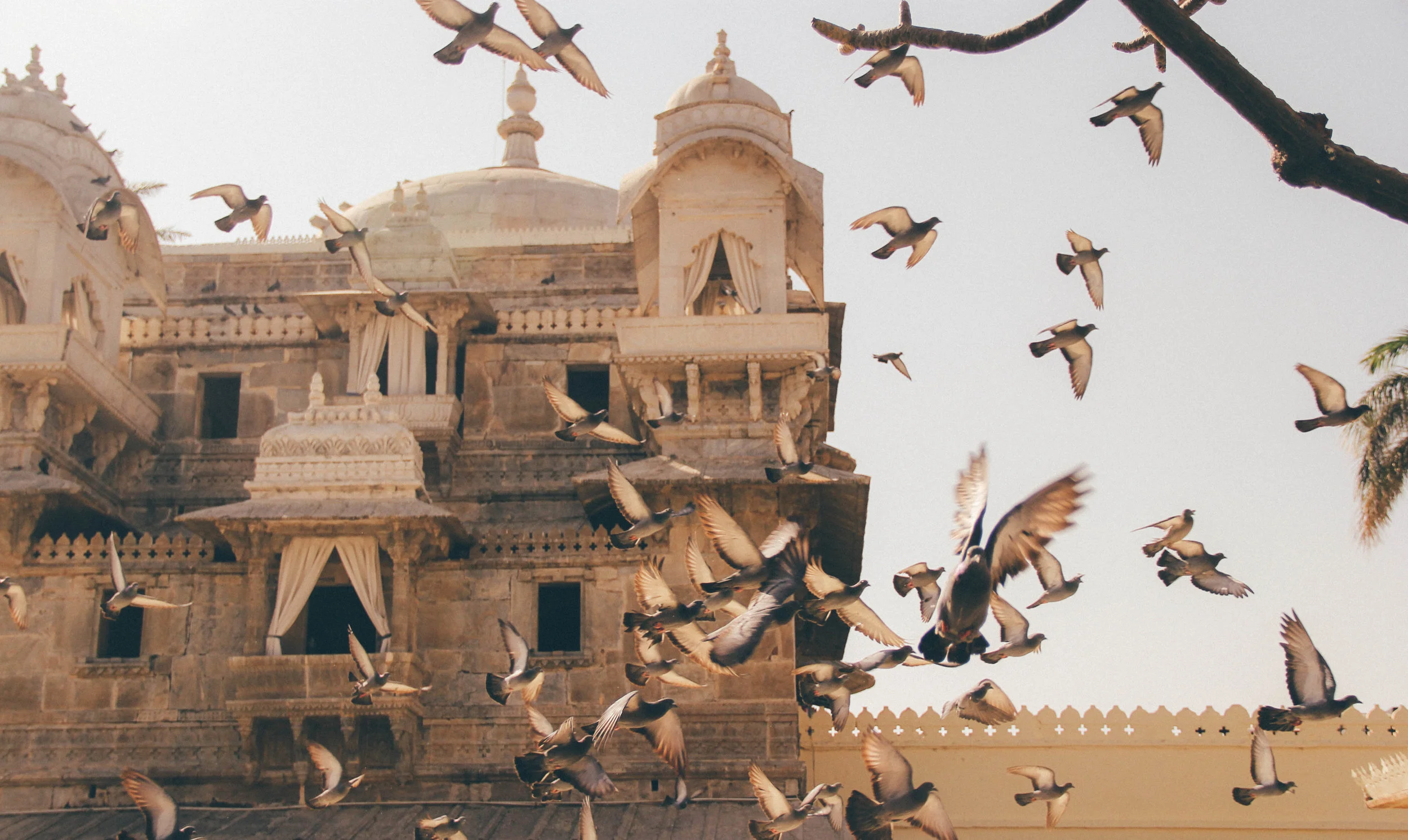 Travel Tips Series: India