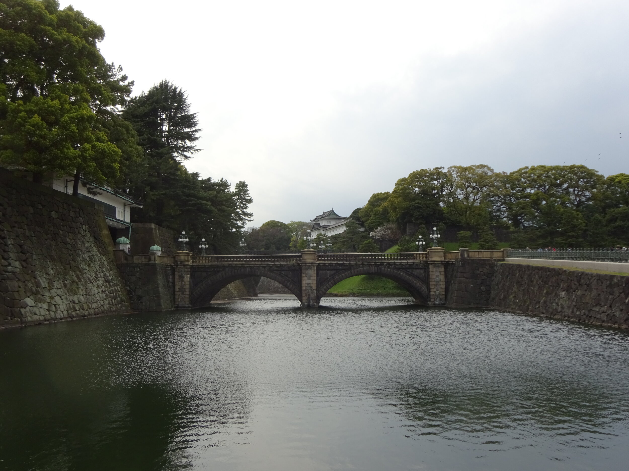 DSC00484.JPG