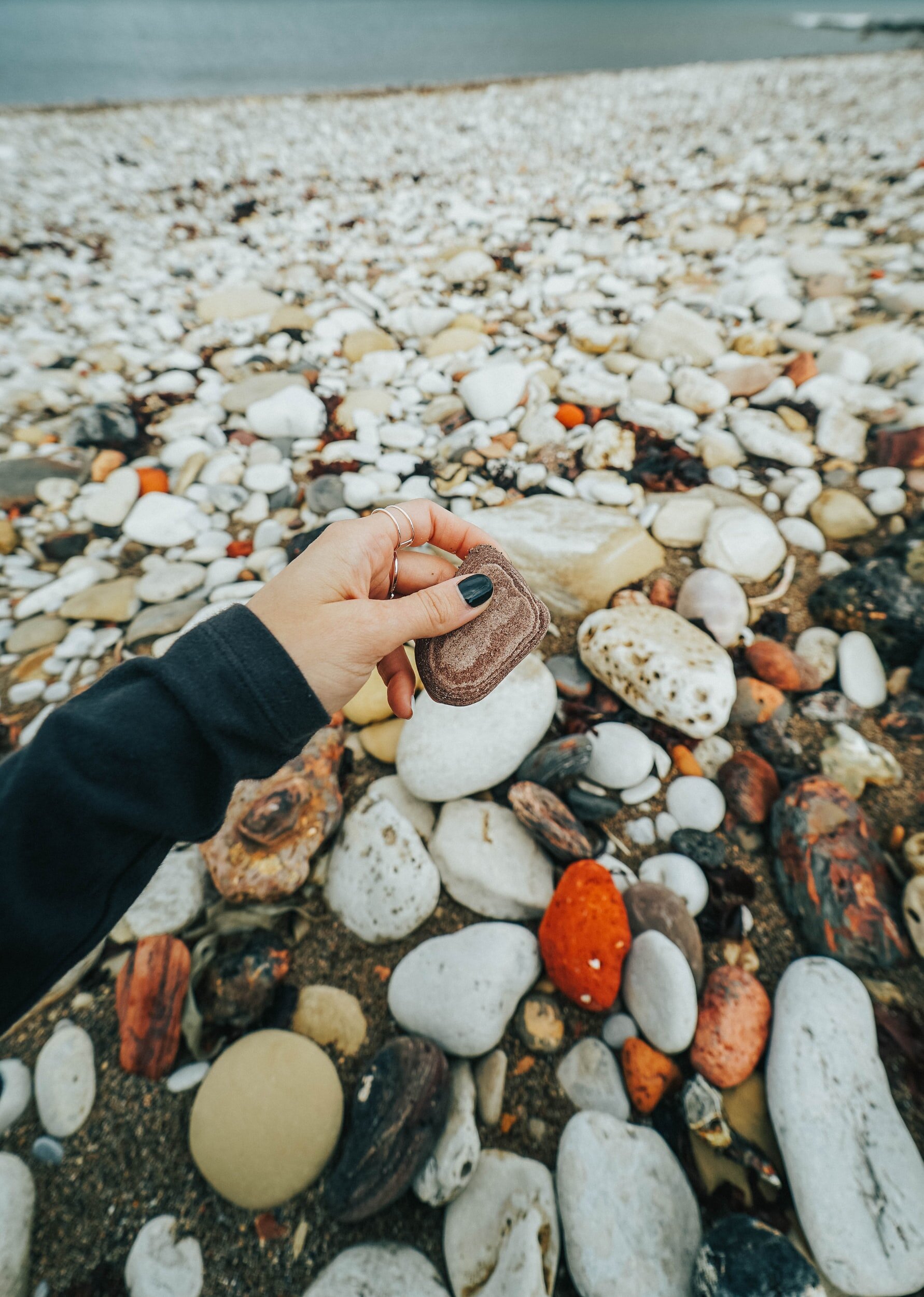 Resources To Start Collecting