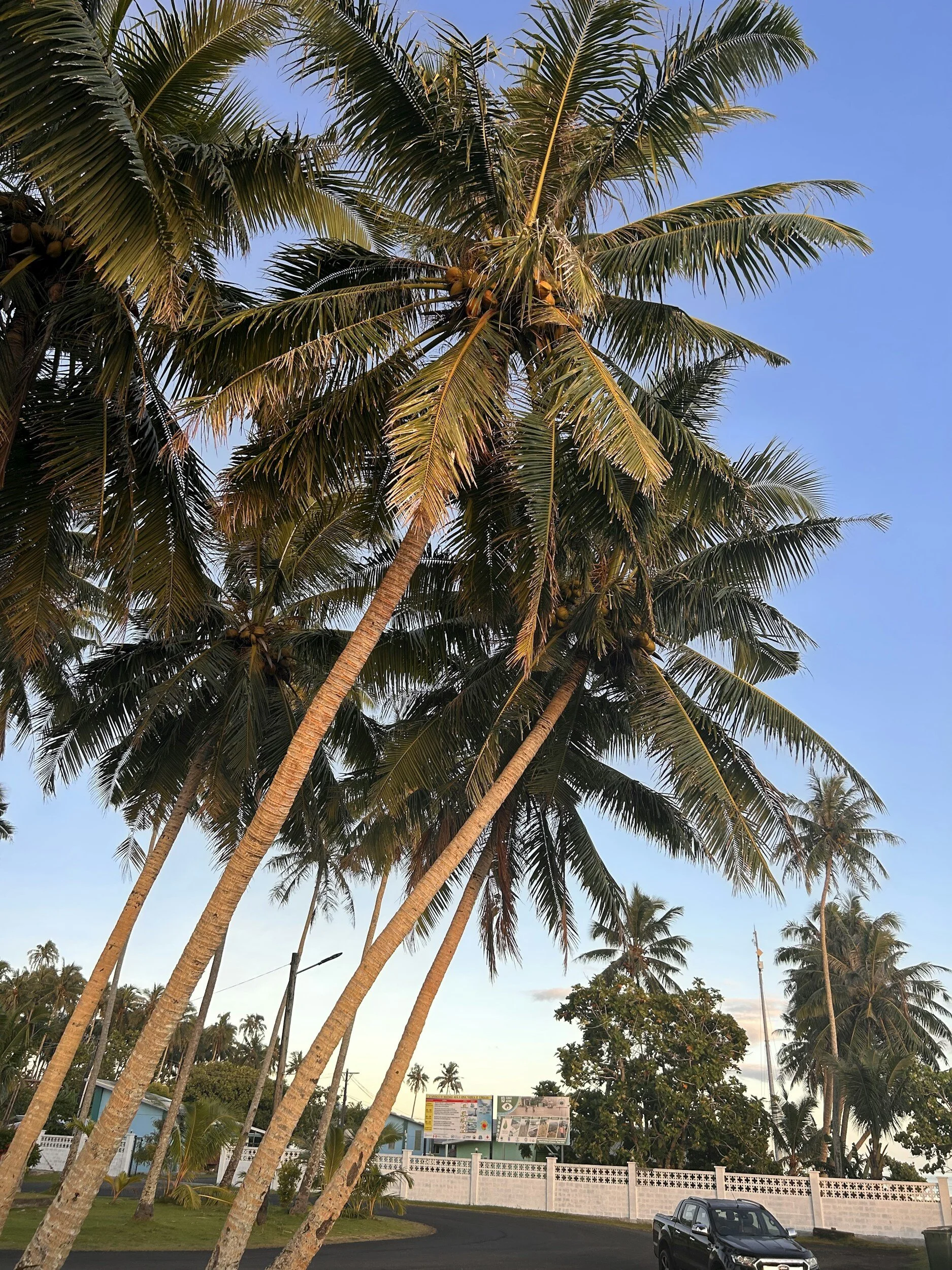 Travel Tip Series: Samoa
