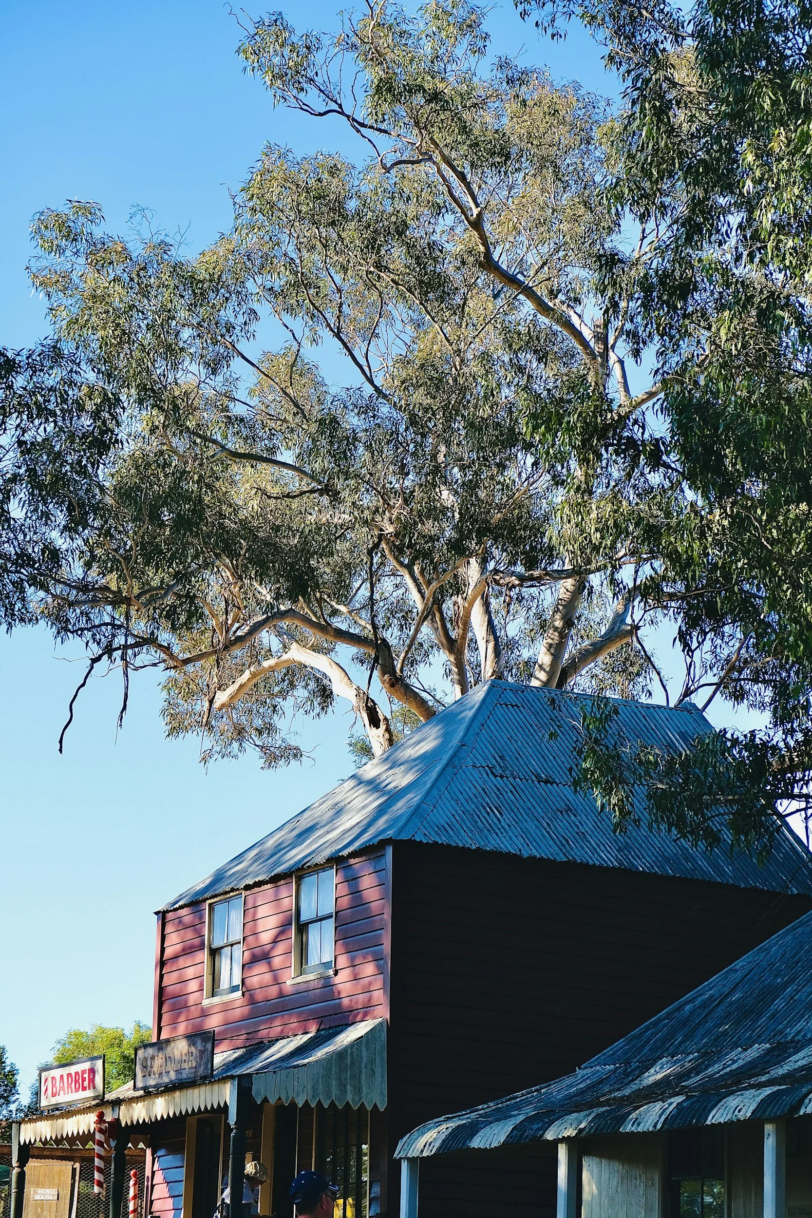 Stepping Back In Time: Exploring Australiana Pioneer Village