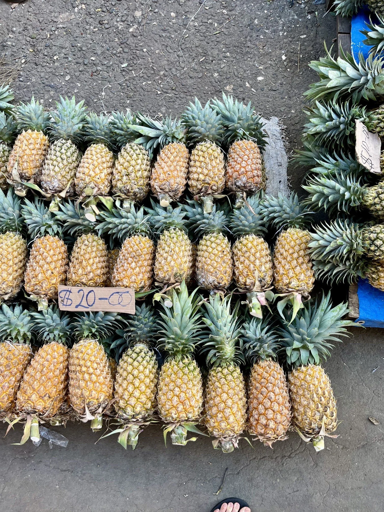 The Solomon Islands: A Pacific Paradise Without the Crowds