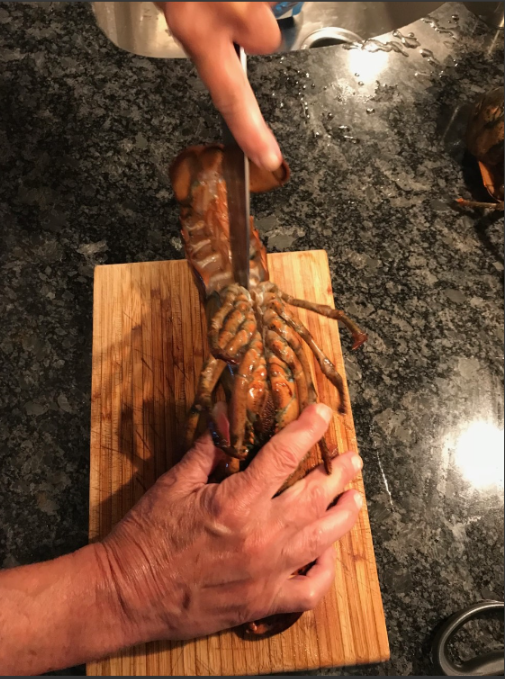 lobster split.png