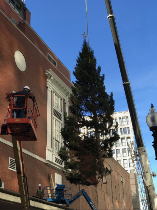 macys xmas tree 2.png