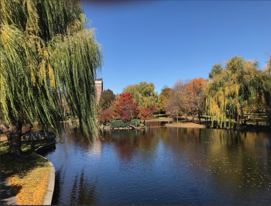 public garden fall pond view.png