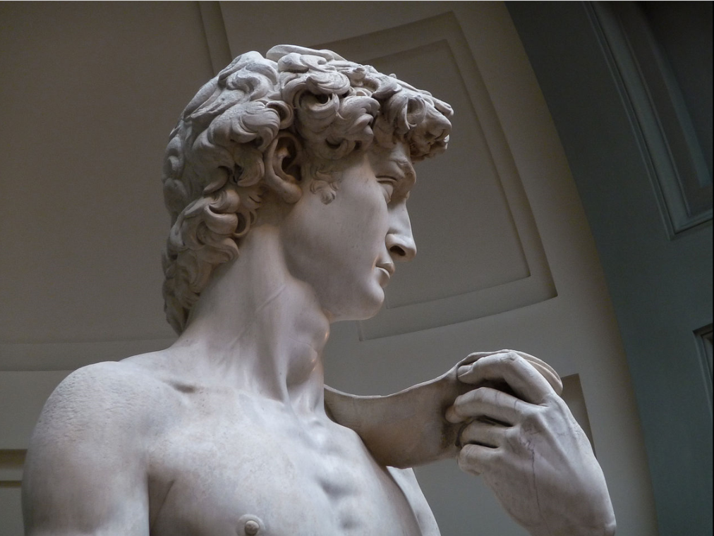 Michelangelo’s David detail head.png
