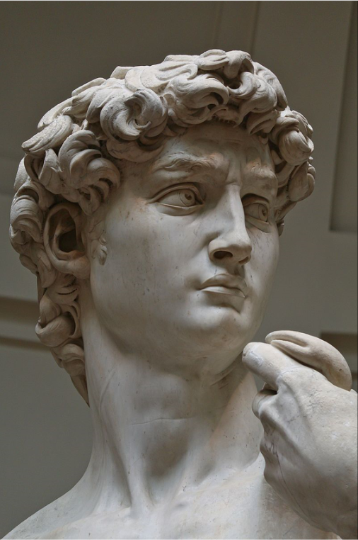 Michelangelo’s David detail eyes to rome.png