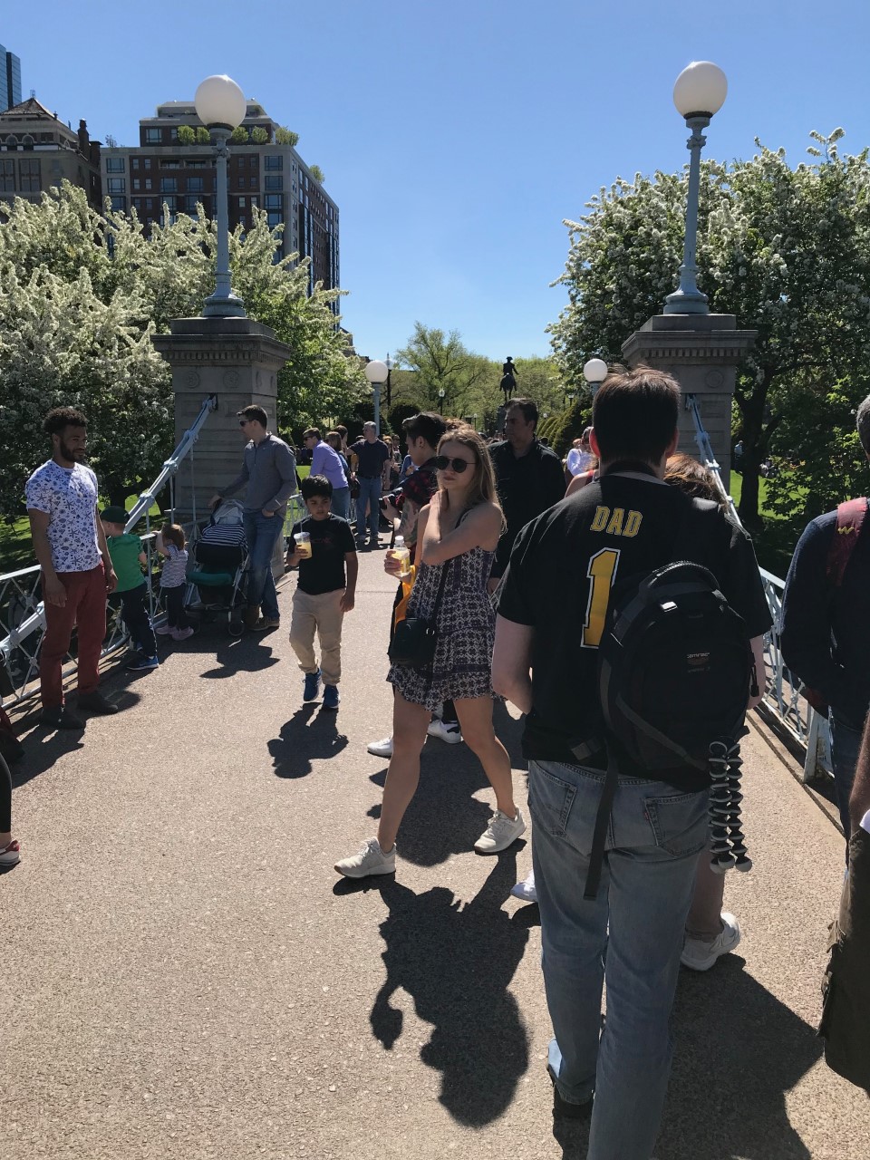 crowds in boston summer public garden bridge II.jpg
