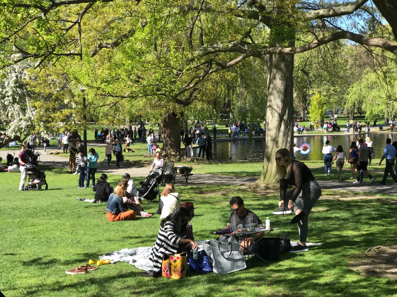 crowds in boston summer public garden.jpg