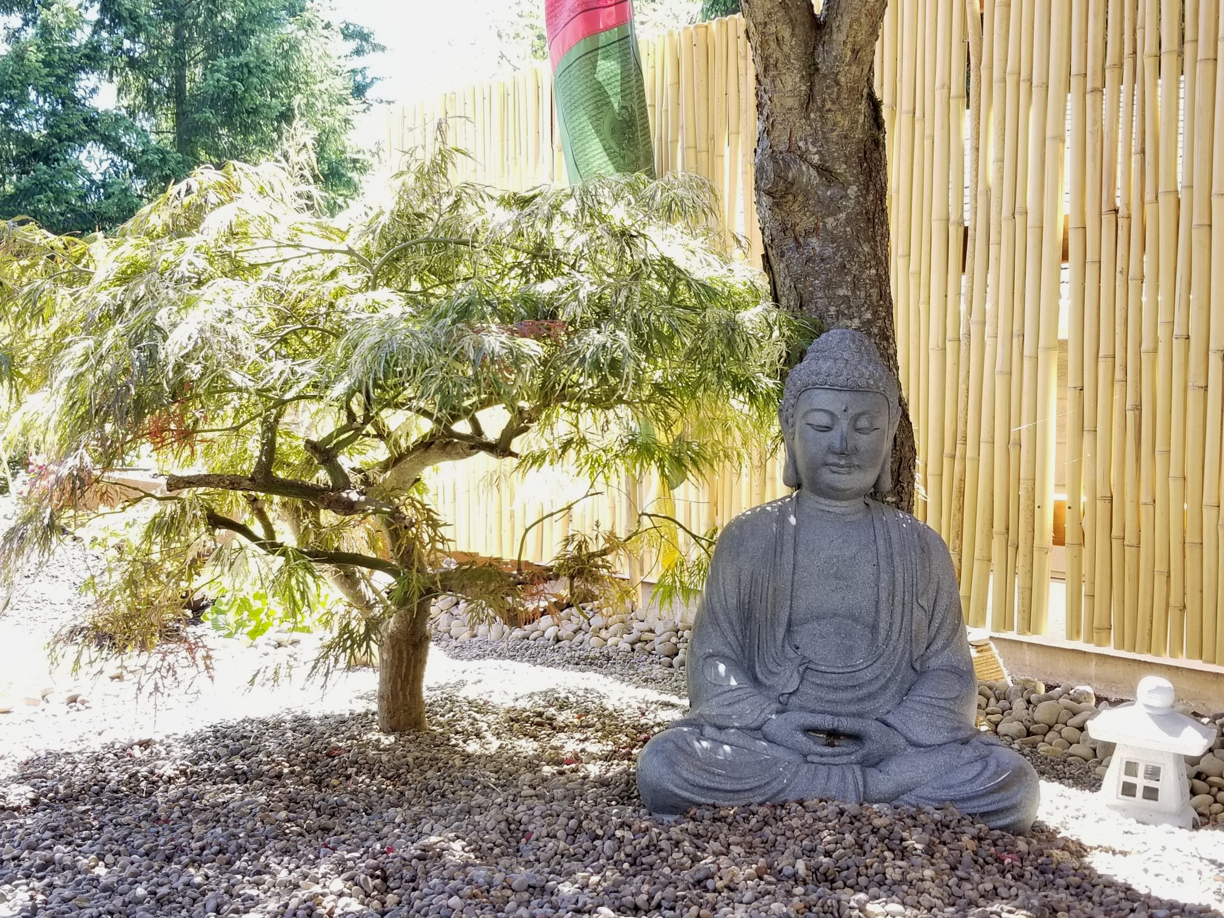 Garden+buddha.jpg