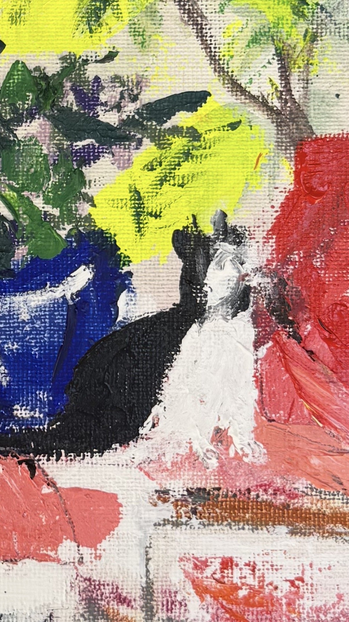 cat 