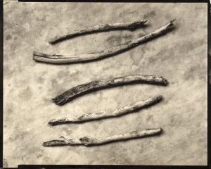 5-sticks-300x240.jpg