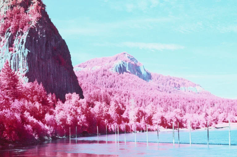 Color Infrared Film with Heather Boyd