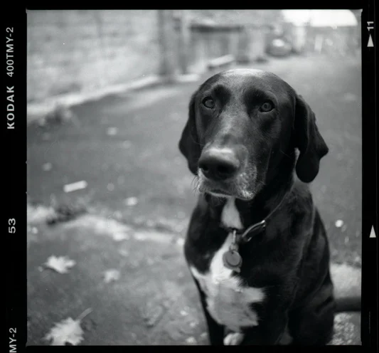 Remembering Miss Daisy