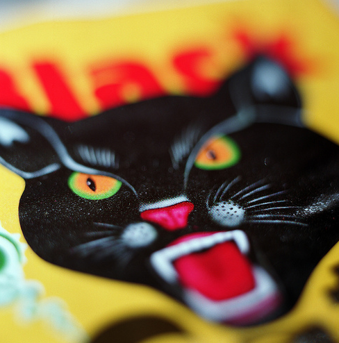 Don’t let this Black Cat fool you – black is in fact the presence of ALL colors, and it’s only with Ektar that can you properly see them. Black Cat by Peter Carlson