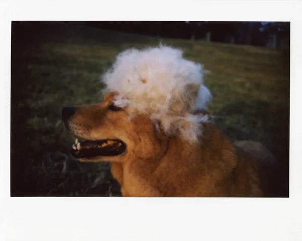 Photo by JaNae Hagel