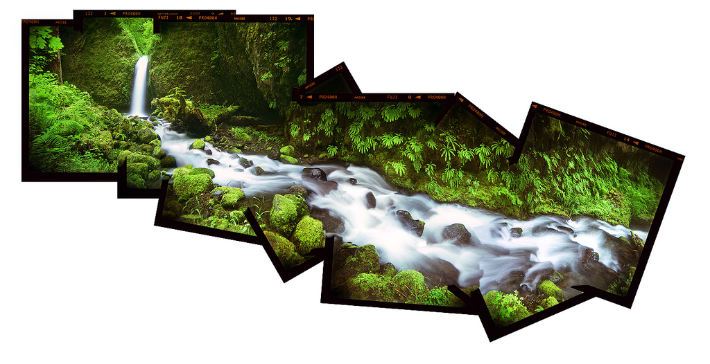 A composite image made from 11 Holga exposures