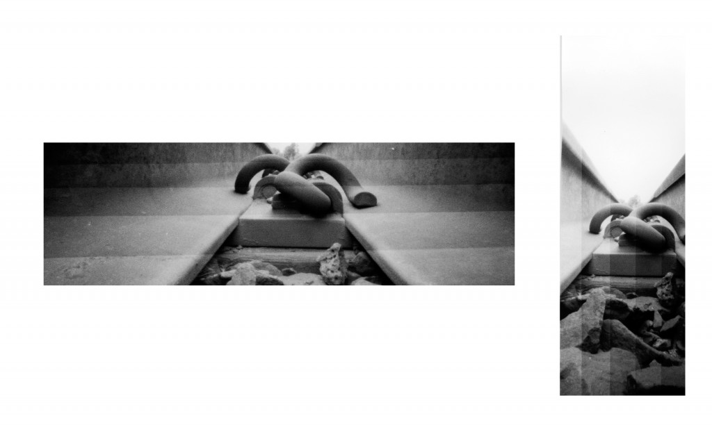 The horizontal test strip looks nicer, but the vertical test strip shows a better range of exposure.