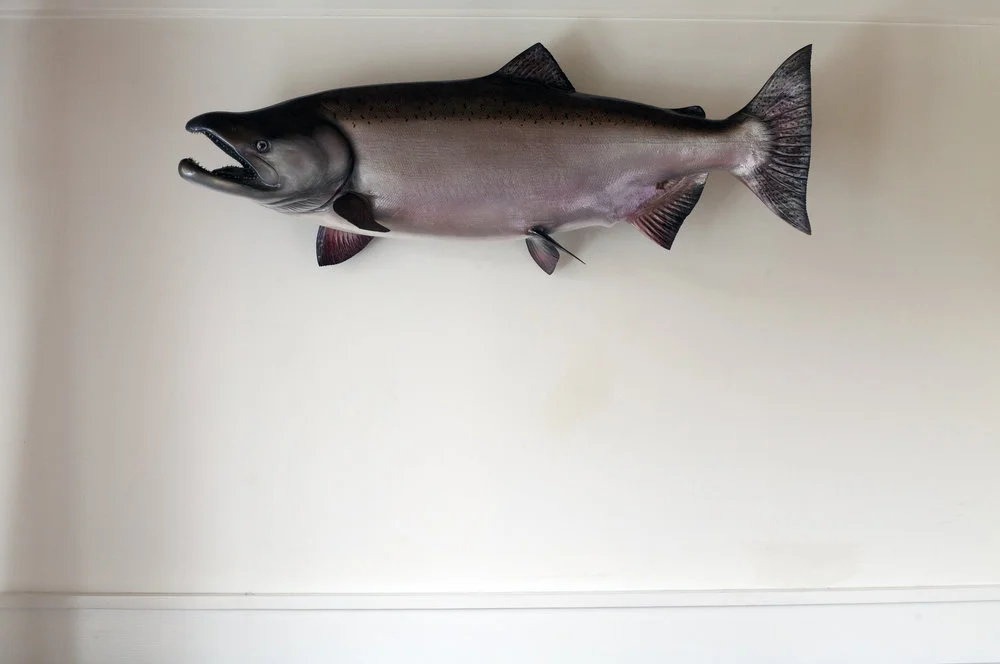 Artist In Solitude: Sarah Graves