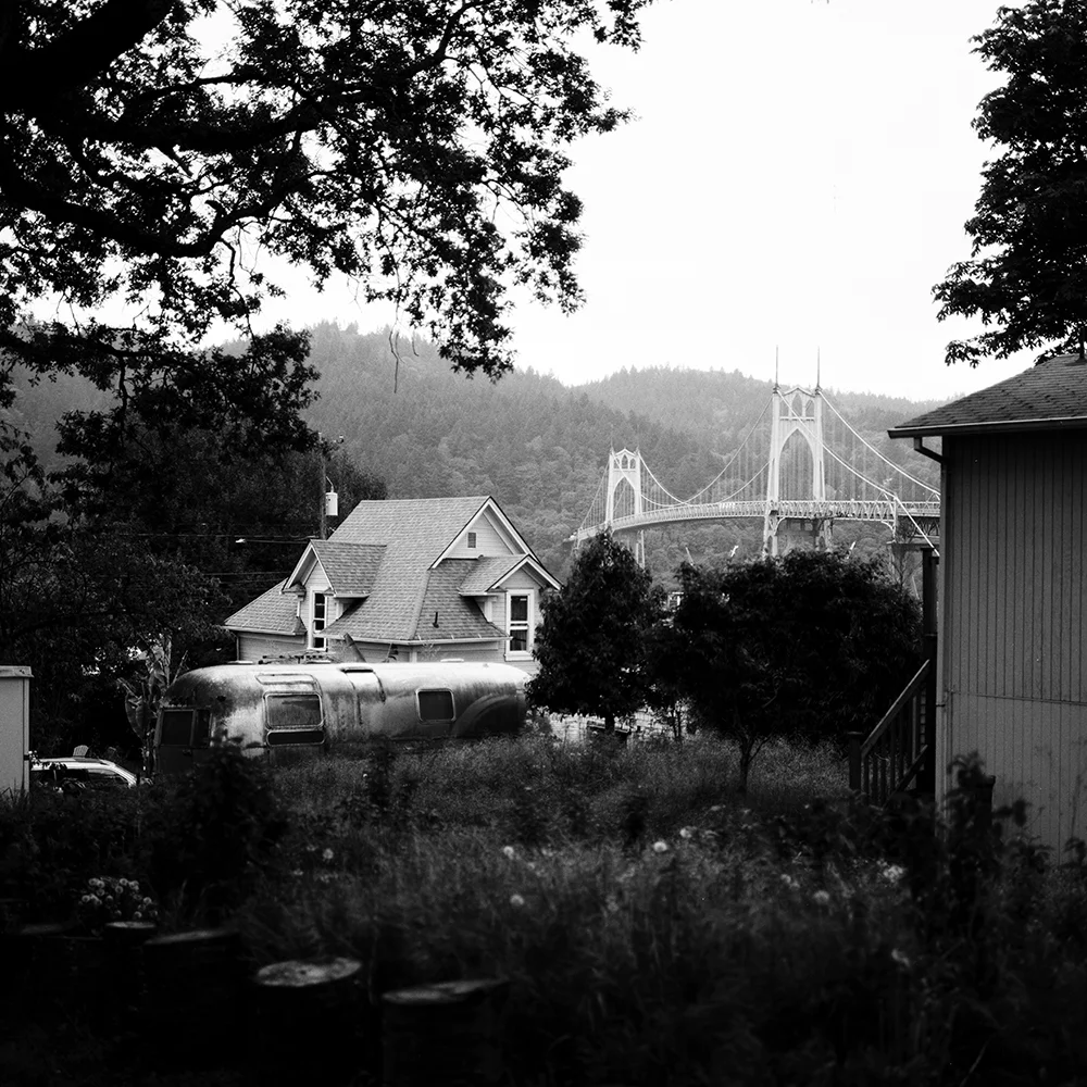 CatLABS X 80 Film Review — The Codex